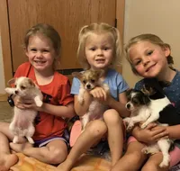 processed/0f5b73e2-4cdc-4620-9db4-62a8269dc5f7/facility/67a1d15c-ca07-408e-9824-6736b9e8f76f