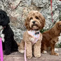 processed/0f5b73e2-4cdc-4620-9db4-62a8269dc5f7/facility/87734f61-900a-4383-b406-c59800b08edb