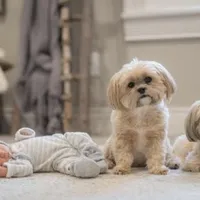 processed/0f5b73e2-4cdc-4620-9db4-62a8269dc5f7/facility/b45538c1-aaed-45b8-883a-ca528b9cb289