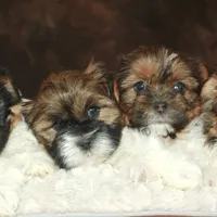 processed/0f5b73e2-4cdc-4620-9db4-62a8269dc5f7/facility/f539edef-5ab9-493f-babf-59a009b4b2f7