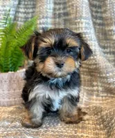 processed/0f5b73e2-4cdc-4620-9db4-62a8269dc5f7/listing/1bbb947f-0795-4667-a838-8b89761e022b/33297a06-2287-43db-b6a5-dd5b3016177b