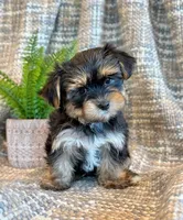 processed/0f5b73e2-4cdc-4620-9db4-62a8269dc5f7/listing/1bbb947f-0795-4667-a838-8b89761e022b/36fe591b-8737-48bf-960a-79d202eedd69