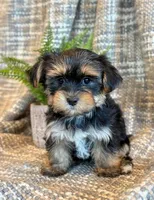 processed/0f5b73e2-4cdc-4620-9db4-62a8269dc5f7/listing/1bbb947f-0795-4667-a838-8b89761e022b/3a947325-2915-464b-8825-240cb5df26e3