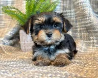 processed/0f5b73e2-4cdc-4620-9db4-62a8269dc5f7/listing/1bbb947f-0795-4667-a838-8b89761e022b/9d0cb868-a0be-4df8-8659-fb301e04f3f9