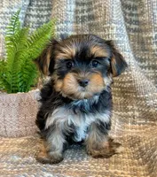 processed/0f5b73e2-4cdc-4620-9db4-62a8269dc5f7/listing/1bbb947f-0795-4667-a838-8b89761e022b/ae1d2b59-6816-4a30-bc03-7ff7bf2ca372