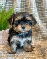 processed/0f5b73e2-4cdc-4620-9db4-62a8269dc5f7/listing/1bbb947f-0795-4667-a838-8b89761e022b/b209e71b-9a45-4679-8556-1cd95cf4fd83