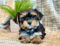 processed/0f5b73e2-4cdc-4620-9db4-62a8269dc5f7/listing/1bbb947f-0795-4667-a838-8b89761e022b/d828017d-f848-43e7-ae0e-8d4a0cd6d93e