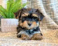 processed/0f5b73e2-4cdc-4620-9db4-62a8269dc5f7/listing/1bbb947f-0795-4667-a838-8b89761e022b/fa2dcb1c-ee5e-4a5e-b1eb-1a03945bcf8c