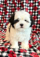 processed/0f5b73e2-4cdc-4620-9db4-62a8269dc5f7/listing/2da91ac8-f697-4a9e-b4f0-828476ed3aa2/20f3b144-3ec8-4244-82d4-c88c63d879ee