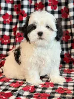 processed/0f5b73e2-4cdc-4620-9db4-62a8269dc5f7/listing/2da91ac8-f697-4a9e-b4f0-828476ed3aa2/2ac5e411-52b1-427e-b1c9-512f8f85bced