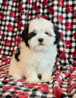 processed/0f5b73e2-4cdc-4620-9db4-62a8269dc5f7/listing/2da91ac8-f697-4a9e-b4f0-828476ed3aa2/2eb01cfb-4c8c-4b31-af4d-cf592d359383