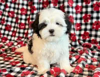 processed/0f5b73e2-4cdc-4620-9db4-62a8269dc5f7/listing/2da91ac8-f697-4a9e-b4f0-828476ed3aa2/77244038-ad88-4b99-8e9d-2aa807debbb5