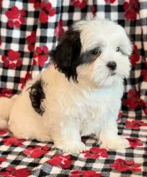 processed/0f5b73e2-4cdc-4620-9db4-62a8269dc5f7/listing/2da91ac8-f697-4a9e-b4f0-828476ed3aa2/91081cd6-883b-4cee-af96-f306ac6e5ba2