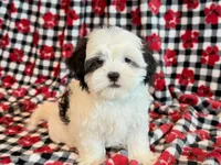 processed/0f5b73e2-4cdc-4620-9db4-62a8269dc5f7/listing/2da91ac8-f697-4a9e-b4f0-828476ed3aa2/c776299f-6558-484b-b9ef-bb8a8ebcddac