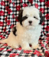 processed/0f5b73e2-4cdc-4620-9db4-62a8269dc5f7/listing/2da91ac8-f697-4a9e-b4f0-828476ed3aa2/ce1dbffa-0b78-4358-ba27-2a51242cd01e