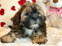 processed/0f5b73e2-4cdc-4620-9db4-62a8269dc5f7/listing/3452680b-5d58-4cea-9b9b-606aa97a6938/0c9e9464-78d0-4391-8df9-5f1d4ae96639