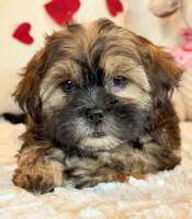 processed/0f5b73e2-4cdc-4620-9db4-62a8269dc5f7/listing/3452680b-5d58-4cea-9b9b-606aa97a6938/4cf8cfa4-0858-4076-a701-e73fbe8abbe3