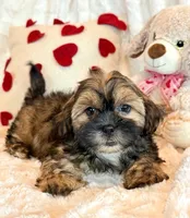 processed/0f5b73e2-4cdc-4620-9db4-62a8269dc5f7/listing/3452680b-5d58-4cea-9b9b-606aa97a6938/582827d0-39af-40da-a518-aee0e0912a63