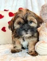 processed/0f5b73e2-4cdc-4620-9db4-62a8269dc5f7/listing/3452680b-5d58-4cea-9b9b-606aa97a6938/d255e8f5-96fe-4b54-a337-49bbc96e6440