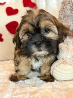 processed/0f5b73e2-4cdc-4620-9db4-62a8269dc5f7/listing/3452680b-5d58-4cea-9b9b-606aa97a6938/e9358283-dcca-47f8-aab6-d03ae87a6a93