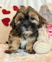 processed/0f5b73e2-4cdc-4620-9db4-62a8269dc5f7/listing/3452680b-5d58-4cea-9b9b-606aa97a6938/f67e3c04-8377-4ce6-aa09-3756e08d2daa