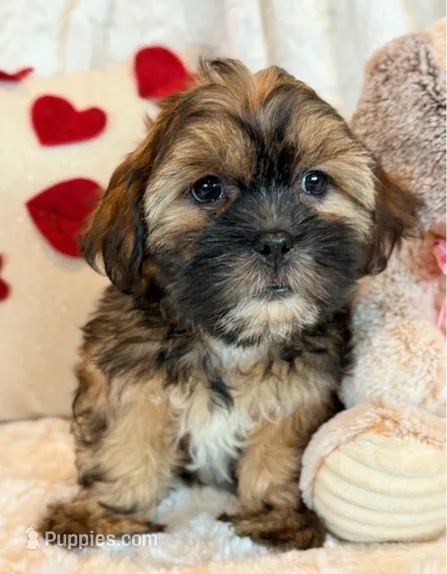 processed/0f5b73e2-4cdc-4620-9db4-62a8269dc5f7/listing/3452680b-5d58-4cea-9b9b-606aa97a6938/fb4dc59f-7163-4142-87a1-699373bdc9cb