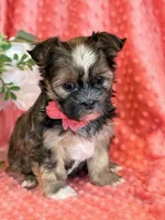 processed/0f5b73e2-4cdc-4620-9db4-62a8269dc5f7/listing/40fccc05-f486-43e3-a5da-76a4a6202ddd/46bd7444-6a60-4844-adce-2991f516b5ea