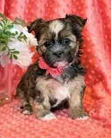 processed/0f5b73e2-4cdc-4620-9db4-62a8269dc5f7/listing/40fccc05-f486-43e3-a5da-76a4a6202ddd/6799d58a-1477-447d-9a13-576261a1a960