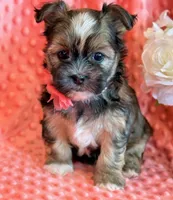 processed/0f5b73e2-4cdc-4620-9db4-62a8269dc5f7/listing/40fccc05-f486-43e3-a5da-76a4a6202ddd/765bf453-50be-4f30-8a57-45531e522d00