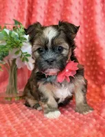 processed/0f5b73e2-4cdc-4620-9db4-62a8269dc5f7/listing/40fccc05-f486-43e3-a5da-76a4a6202ddd/a0828743-ab4c-4eb3-9968-015833722b99