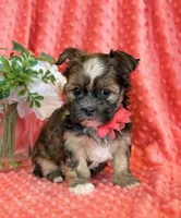 processed/0f5b73e2-4cdc-4620-9db4-62a8269dc5f7/listing/40fccc05-f486-43e3-a5da-76a4a6202ddd/c1f4ab6c-7090-4287-b3bb-97ea865d3264