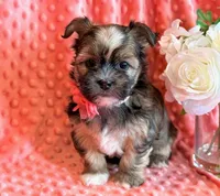 processed/0f5b73e2-4cdc-4620-9db4-62a8269dc5f7/listing/40fccc05-f486-43e3-a5da-76a4a6202ddd/f0ab1524-4b9e-42ae-8588-d2a12a3ce91e