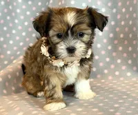 processed/0f5b73e2-4cdc-4620-9db4-62a8269dc5f7/listing/4b528b1a-62a5-4ac3-af3c-00543154fa11/129860f9-769a-45ab-8052-6fd71f21986e