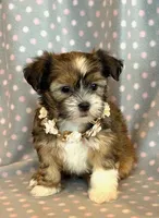 processed/0f5b73e2-4cdc-4620-9db4-62a8269dc5f7/listing/4b528b1a-62a5-4ac3-af3c-00543154fa11/29d05e11-d4ee-4dd7-9953-04d50fa11f13