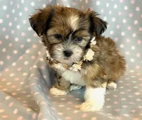 processed/0f5b73e2-4cdc-4620-9db4-62a8269dc5f7/listing/4b528b1a-62a5-4ac3-af3c-00543154fa11/51fda8ea-9277-459a-8af0-4fc44bafcede