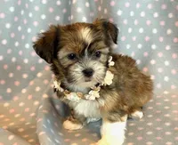 processed/0f5b73e2-4cdc-4620-9db4-62a8269dc5f7/listing/4b528b1a-62a5-4ac3-af3c-00543154fa11/610ade4f-3d1a-4cb1-92a1-9fbdac3cba08