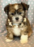 processed/0f5b73e2-4cdc-4620-9db4-62a8269dc5f7/listing/4b528b1a-62a5-4ac3-af3c-00543154fa11/a3b19805-22da-44e2-955e-9f1520720bb3