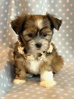 processed/0f5b73e2-4cdc-4620-9db4-62a8269dc5f7/listing/4b528b1a-62a5-4ac3-af3c-00543154fa11/b04fb8d8-fe8b-4180-b358-f3654272f258