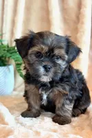 processed/0f5b73e2-4cdc-4620-9db4-62a8269dc5f7/listing/4c5db54c-d23f-46e9-ab48-bf59671e0ad6/1112df89-ab2f-4fe5-93d5-d91024b7cb04