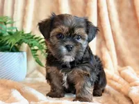 processed/0f5b73e2-4cdc-4620-9db4-62a8269dc5f7/listing/4c5db54c-d23f-46e9-ab48-bf59671e0ad6/46b9fd2b-c873-4a17-b3ee-aaaf84105ea3