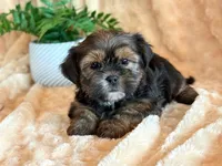 processed/0f5b73e2-4cdc-4620-9db4-62a8269dc5f7/listing/4c5db54c-d23f-46e9-ab48-bf59671e0ad6/53aa909c-4240-489c-9c3c-107f88f6dfd7