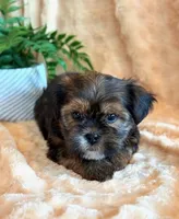 processed/0f5b73e2-4cdc-4620-9db4-62a8269dc5f7/listing/4c5db54c-d23f-46e9-ab48-bf59671e0ad6/58efc2a3-1b56-4d92-8a45-01472a17c09d