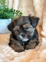 processed/0f5b73e2-4cdc-4620-9db4-62a8269dc5f7/listing/4c5db54c-d23f-46e9-ab48-bf59671e0ad6/608c4713-c10d-4e3b-b263-b012d5d91fba