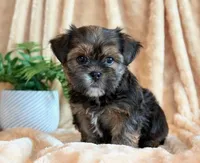 processed/0f5b73e2-4cdc-4620-9db4-62a8269dc5f7/listing/4c5db54c-d23f-46e9-ab48-bf59671e0ad6/f2b08254-9cd3-411b-993b-9a9872072723