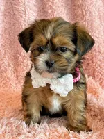 processed/0f5b73e2-4cdc-4620-9db4-62a8269dc5f7/listing/50a2e02e-86d8-408b-9a70-e10e81634fa5/18b0bb6d-c38a-402b-8c84-542920db1cc3