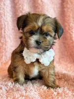 processed/0f5b73e2-4cdc-4620-9db4-62a8269dc5f7/listing/50a2e02e-86d8-408b-9a70-e10e81634fa5/561c0dca-b5ac-46ca-9b33-15f07a91ed31