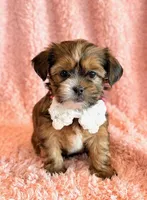 processed/0f5b73e2-4cdc-4620-9db4-62a8269dc5f7/listing/50a2e02e-86d8-408b-9a70-e10e81634fa5/e14af586-a43f-4b29-8508-4608abc3bbdc