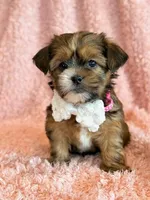 processed/0f5b73e2-4cdc-4620-9db4-62a8269dc5f7/listing/50a2e02e-86d8-408b-9a70-e10e81634fa5/ea16d25f-9d0f-41ad-bf43-4766f7d19b5f