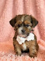 processed/0f5b73e2-4cdc-4620-9db4-62a8269dc5f7/listing/50a2e02e-86d8-408b-9a70-e10e81634fa5/f21032a4-a3a1-4e03-b976-1d8931d47da6