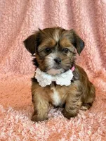 processed/0f5b73e2-4cdc-4620-9db4-62a8269dc5f7/listing/50a2e02e-86d8-408b-9a70-e10e81634fa5/f7af5dca-0d23-46a2-8045-7426a5b4c05a